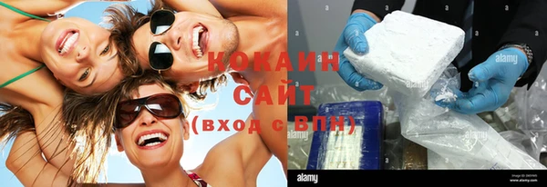 прущие крисы Алзамай