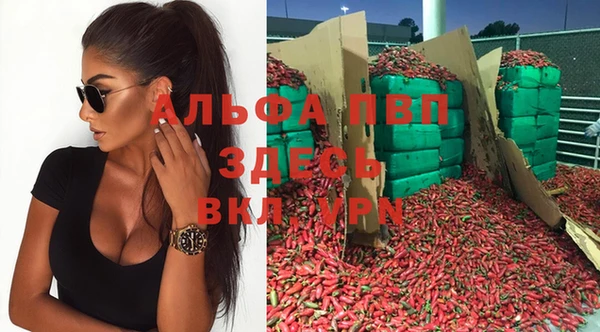 прущие крисы Алзамай